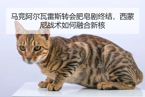 ma-jing-a-er-wa-lei-si-zhuan-hui-fei-zao-ju-zhong-jie-xi-meng-ni-zhan-shu-ru-he-rong-he-xin-he-2-812.jpg