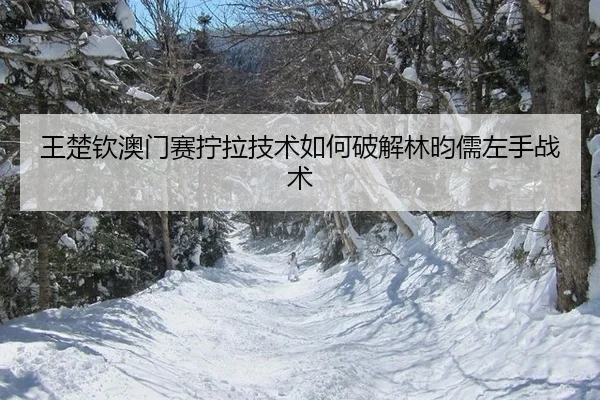 wang-chu-qin-ao-men-sai-ning-la-ji-shu-ru-he-po-jie-lin-yun-ru-zuo-shou-zhan-shu-3-485.jpg