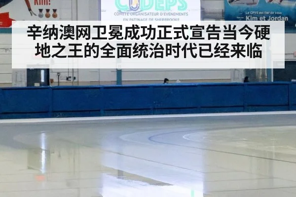 辛纳澳网卫冕成功正式宣告当今硬地之王的全面统治时代已经来临